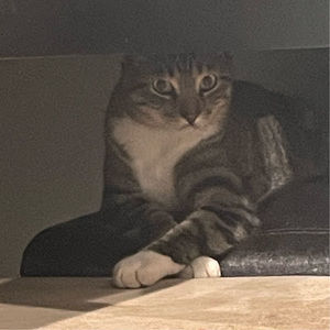 Meet your Posher, Rey